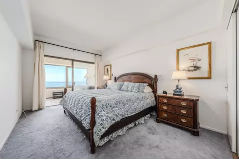 175 E Delaware Pl #4604, Chicago, IL 60611 photo 11