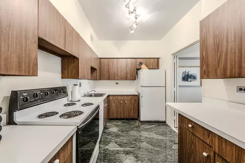 175 E Delaware Pl #4604, Chicago, IL 60611 photo 3
