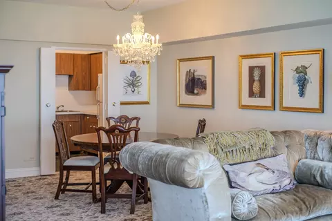 175 E Delaware Pl #4604, Chicago, IL 60611 photo 20