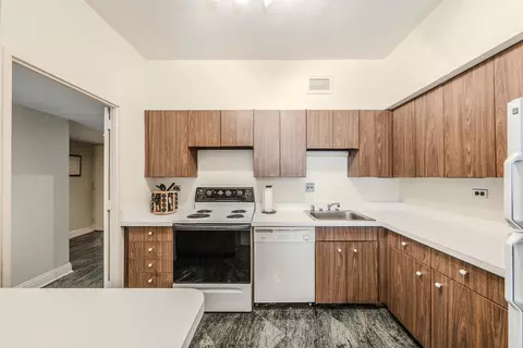 175 E Delaware Pl #4604, Chicago, IL 60611 photo 4