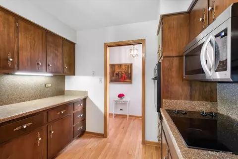 708 Mark Ave, Des Plaines, IL 60016 photo 9