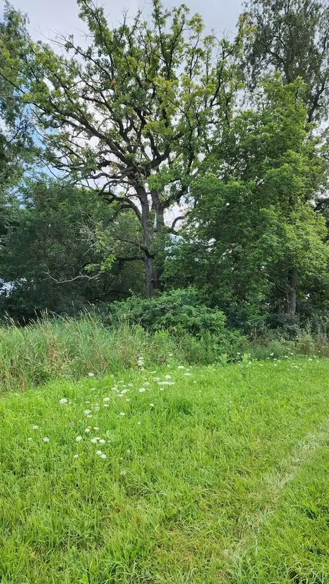 20105 Oak Grove Rd, Harvard, IL 60033 photo 55