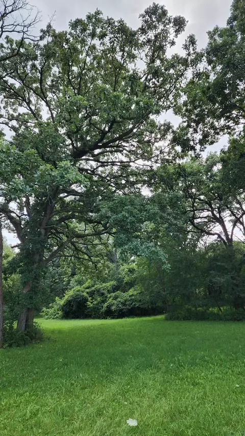 20105 Oak Grove Rd, Harvard, IL 60033 photo 57