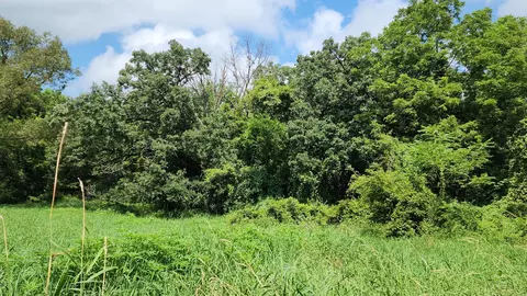 20105 Oak Grove Rd, Harvard, IL 60033 photo 51