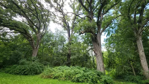 20105 Oak Grove Rd, Harvard, IL 60033 photo 61