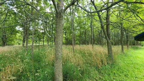 20105 Oak Grove Rd, Harvard, IL 60033 photo 48
