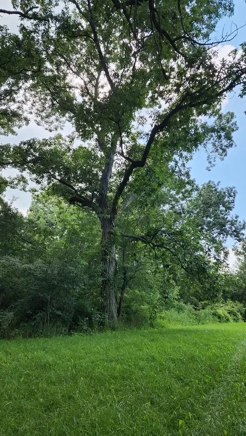 20105 Oak Grove Rd, Harvard, IL 60033 photo 58