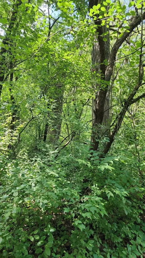 20105 Oak Grove Rd, Harvard, IL 60033 photo 53