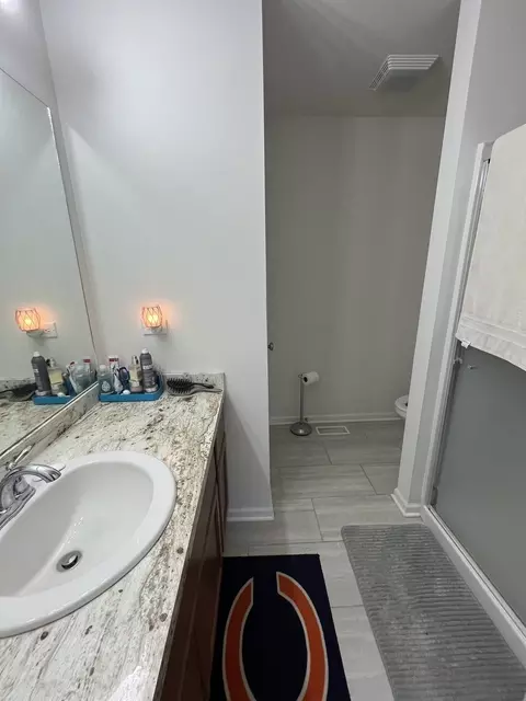 Bath - 243 Aspen Dr, Beecher, IL 60401 photo 1 of 2