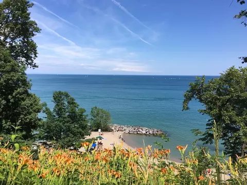 View/Area - 223 E Scranton Ave, Lake Bluff, IL 60044 photo 3 of 3