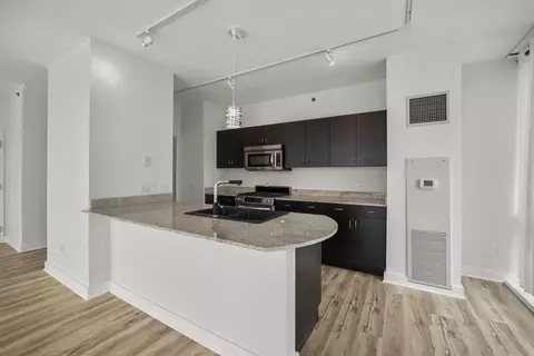 8 E Randolph St #2004, Chicago, IL 60601 photo 10