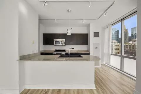8 E Randolph St #2004, Chicago, IL 60601 photo 11