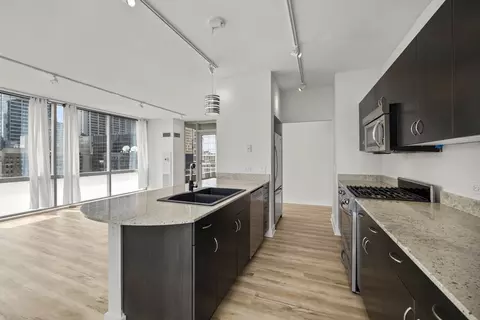 8 E Randolph St #2004, Chicago, IL 60601 photo 13
