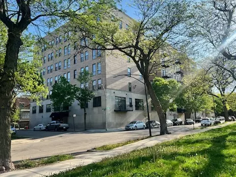 811 S Lytle St #211, Chicago, IL 60607