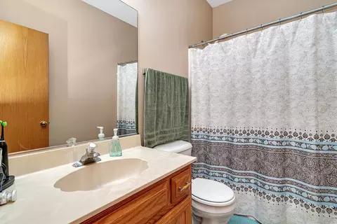 4523 Skylark Ln, Plainfield, IL 60586 photo 8