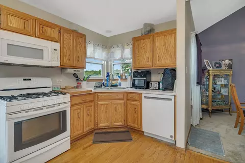 4523 Skylark Ln, Plainfield, IL 60586 photo 18