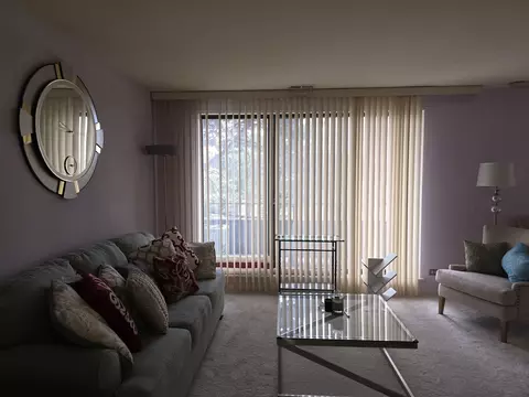 Living - 7 E Carriageway Dr #206, Hazel Crest, IL 60429 photo 1 of 2