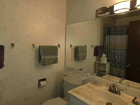Bath - 7 E Carriageway Dr #206, Hazel Crest, IL 60429 photo 2 of 3