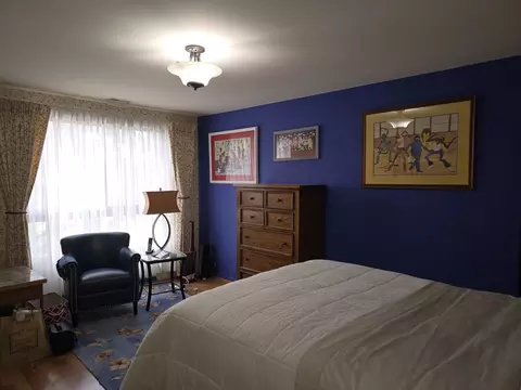 Bedroom - 7 E Carriageway Dr #206, Hazel Crest, IL 60429 photo 3 of 4