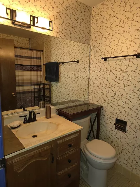 Bath - 7 E Carriageway Dr #206, Hazel Crest, IL 60429 photo 1 of 3