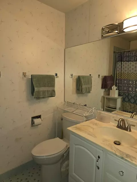 Bath - 7 E Carriageway Dr #206, Hazel Crest, IL 60429 photo 3 of 3