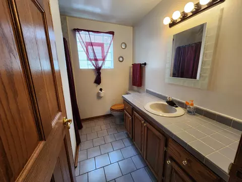 8304 S 77th Ct, Bridgeview, IL 60455 photo 21