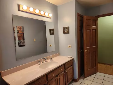 8304 S 77th Ct, Bridgeview, IL 60455 photo 15