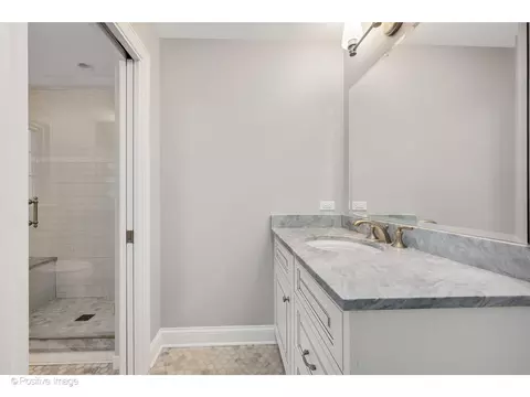 Bath - 48 Devonshire Dr, Oak Brook, IL 60523 photo 8 of 9