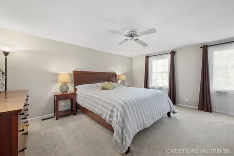 1541 Chippewa Dr, Naperville, IL 60563 photo 17