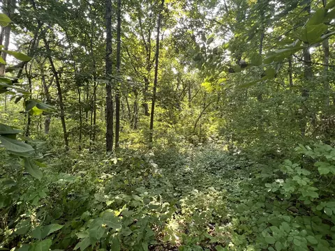 Exterior - 8569 N 2300 East Rd, Downs, IL 61736 photo 14 of 20