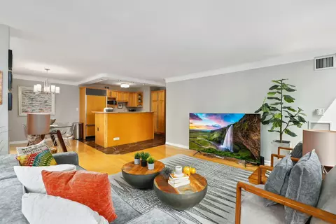 Living - 100 E Walton St #26D, Chicago, IL 60611 photo 3 of 4