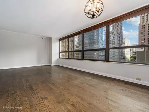 Living - 400 E Ohio St #802, Chicago, IL 60611 photo 8 of 11