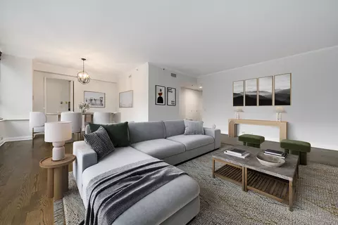 Living - 400 E Ohio St #802, Chicago, IL 60611 photo 5 of 11