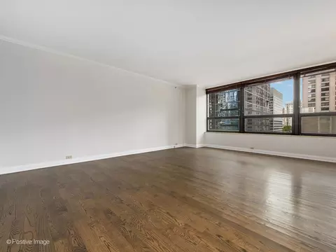 Living - 400 E Ohio St #802, Chicago, IL 60611 photo 4 of 11