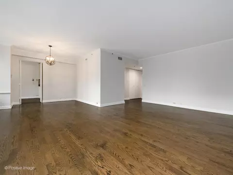 Living - 400 E Ohio St #802, Chicago, IL 60611 photo 6 of 11