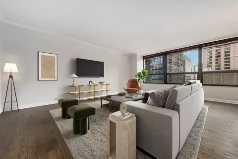 Living - 400 E Ohio St #802, Chicago, IL 60611 photo 3 of 11