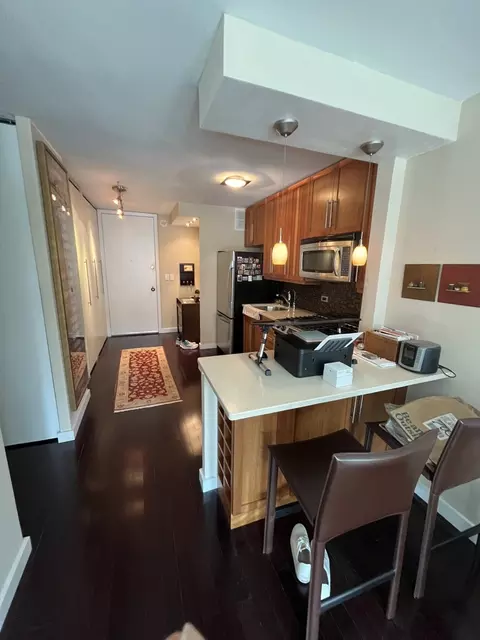 1 E Scott St #706, Chicago, IL 60610 photo 3