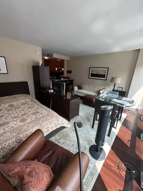 1 E Scott St #706, Chicago, IL 60610 photo 5