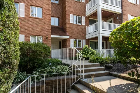 209 S Vine Ave #4B, Park Ridge, IL 60068