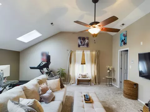 2909 Delphi Ct, Olympia Fields, IL 60461 photo 22