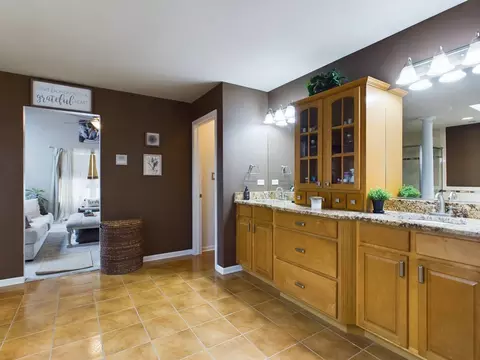2909 Delphi Ct, Olympia Fields, IL 60461 photo 19