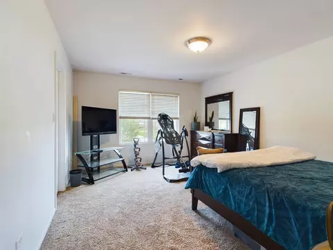2909 Delphi Ct, Olympia Fields, IL 60461 photo 26