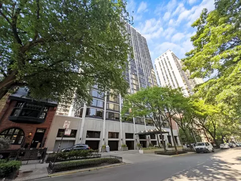 50 E Bellevue Pl #2205, Chicago, IL 60611