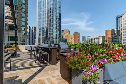Other - 30 E Huron St #1206, Chicago, IL 60611 photo 7 of 10