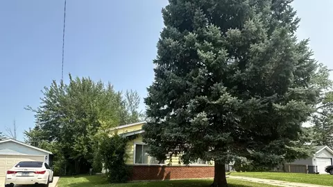 2121 Tamarack Dr, Joliet, IL 60432 photo 4