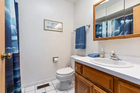 Bath - 19948 Catherine Ln, Mokena, IL 60448 photo 2 of 4