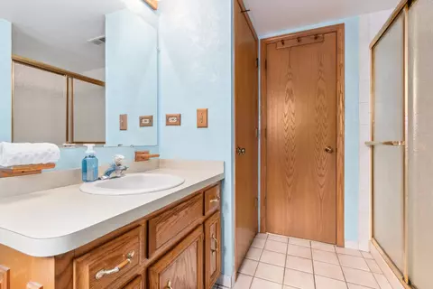 Bath - 19948 Catherine Ln, Mokena, IL 60448 photo 3 of 4