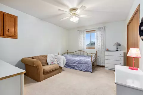 Bedroom - 19948 Catherine Ln, Mokena, IL 60448 photo 3 of 4