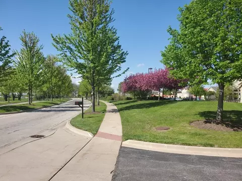3653 Ancient Oak Dr, Elgin, IL 60124 photo 29