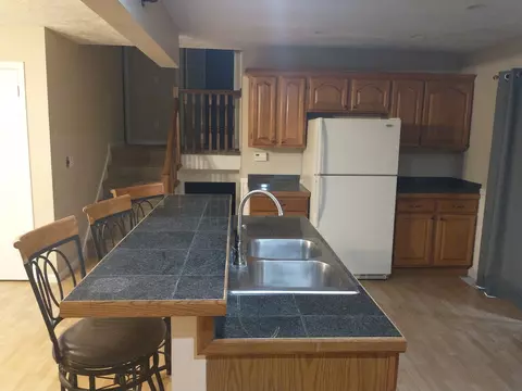 403 Cedar St, Delavan, IL 61734 photo 11